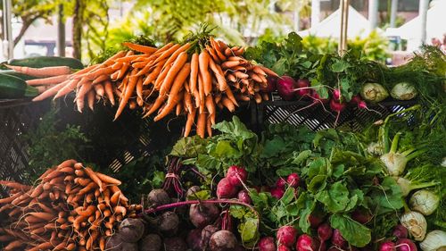 Cartel al companiilor pe piața morcovilor din Olanda: amendă de 2,5 milioane de euro