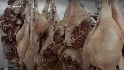 Peste o tonă de carne posibil infectată cu virusul pestei porcine africane, retrasă de la comercializare