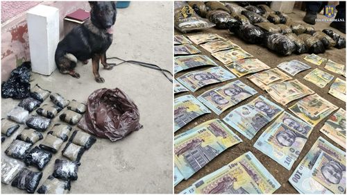 Raport Europol: rețelele criminale spală cei mai mulți bani în imobiliare. În ce țări europene sunt cele mai periculoase bande