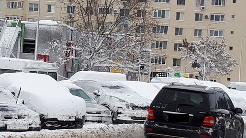 Bilanțul viscolului în București: 104 copaci prăbușiți, 4 panouri publicitare luate de vânt