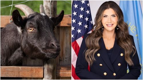 Scandalul imigranților acuzați că mănâncă pisici și câini. Este readus în prim-plan cazul guvernatoarei republicane Kristi Noem, care a împușcat un câine, o capră și trei cai la ferma sa