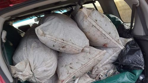 Braconier din Vâlcea prins cu peste 200 de kg de pește pe Olt