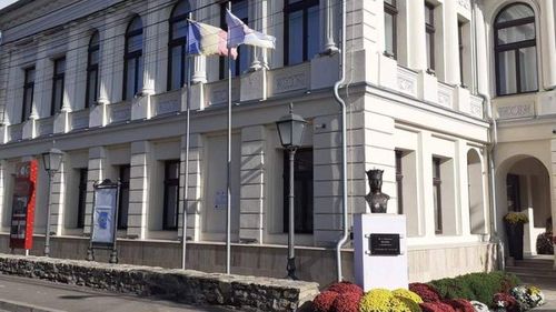 Doi ieșeni în scaun cu rotile au dat în judecată Muzeul Municipal „Regina Maria” pentru că nu au putut intra din cauza accesului fără rampă / Au primit 4.000 de euro despăgubiri în primă instanță