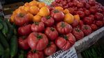 Ce soi de roșii folosești la salată, sos sau ciorbă. Lucian Dragomir (legumicultor) dezvăluie care este cel mai apreciat soi pentru salată