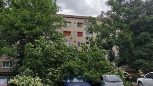 Vântul puternic a făcut ravagii în București și Ilfov / 41 de intervenții ale pompierilor, 25 de mașini avariate