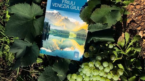 Un italian care a murit și-a lăsat compania angajaților, prin testament / "Vigneti Pittaro" produce 300 de mii de sticle de vin anual și deține 85 de hectare de viță de vie / ”Îi păsa să-i răsplătească pe cei pe care îi considera merituoși”