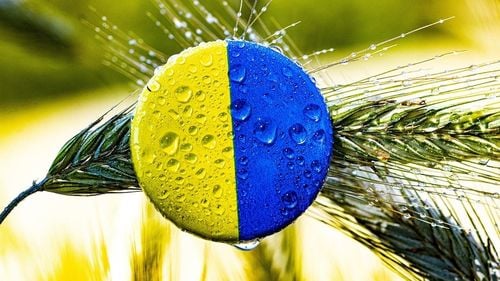 Statele UE, divizate în privința restricțiilor la importurile agricole care vor fi impuse Ucrainei