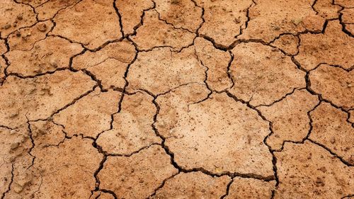 Sondaj: 7 din 10 români se simt afectaţi de valurile de căldură şi de seceta din ultimul an