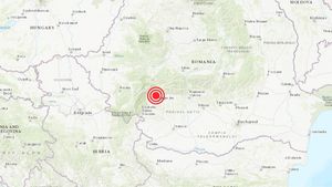 Seismologul Mihai Diaconescu despre noul cutremur din Oltenia: Probabil vor urma replici