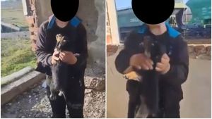 INTERVIU EXCLUSIV | De unde începe violența față de animale. Copiii, cei mai expuși riscului de paralizie emoțională, avertizează psihologii: „Nu mai au reacție la suferință și ajung adulți fără empatie”
