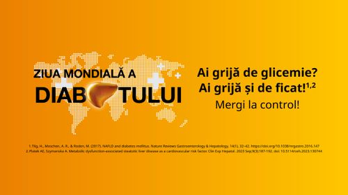Ficatul, centrul metabolic al organismului – de ce sănătatea lui contează în lupta cu diabetul