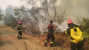 Incendiu violent de vegetație în Mehedinți: Pompierii din turele libere au fost chemați de-acasă pentru a-și ajuta colegii să stingă flăcările