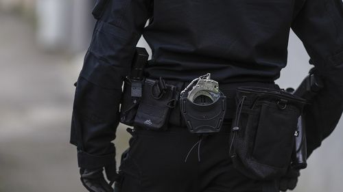 Anchetă în cadrul Poliţiei de Frontieră Timişoara, după ce cinci cetăţeni albanezi cu interdicţie pentru spaţiul Schengen au intrat în România