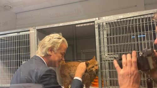 Alegeri parlamentare în Țările de Jos (Olanda): Partidul Libertății (PVV, extrema dreaptă) condus de Geert Wilders pe primul loc cu 35 de mandate din 150 - Exit Poll