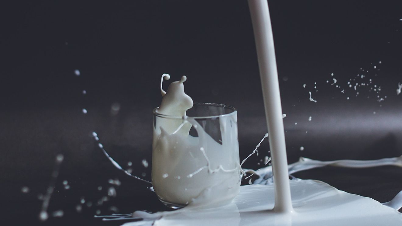 Marii producători de lactate anunţă că se aliază pentru a reduce emisiile de metan