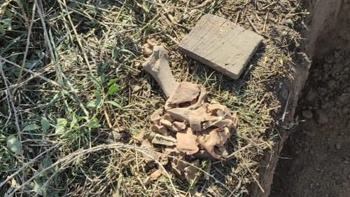 Oase umane descoperite în Galați, pe malul Dunării / Au fost găsite de muncitorii care voiau să planteze copaci pe Faleza Superioară