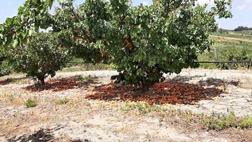 O comună din Iași riscă să aibă conturile blocate după ce a pierdut într-un proces 1,2 milioane de euro / A eliberat târziu un certificat de urbanism, iar o firmă a pierdut un contract cu finanțare europeană