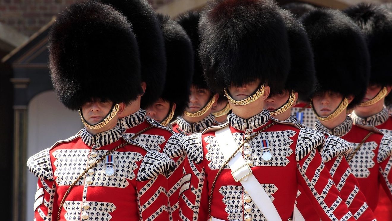 Guvernul britanic se opune înlocuirii căciulilor din blană de urs ale gărzilor de la Buckingham cu unele din blană artificială / 50.000 de persoane au semnat o petiţie prin care se cere ca urșii să nu mai fie uciși pentru blană