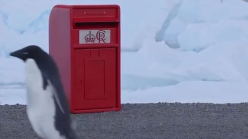 Cum a ajuns o cutie poștală Royal Mail în Antarctica