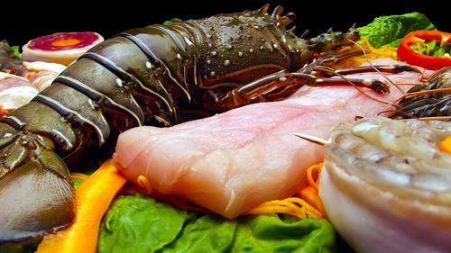 O turistă a cumpărat dintr-un restaurant din Italia un homar viu pe care l-a eliberat în mare