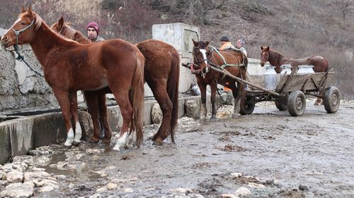 Reportaj din satele din Constanța în care n-a intrat niciun ban european. „Triunghiul sărăciei” și primarul Gâscanu în funcție din 1989