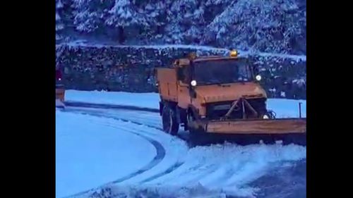 Circulaţie blocată între Focşani şi Târgu Secuiesc, după ce un brad a căzut pe şosea