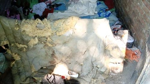 Primăria Timișoara, amendată de Garda de Mediu pentru zonele pline de gunoaie de pe malurile Canalului Bega