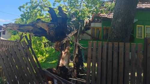 Peste 8000 de gospodării, fără alimentare cu energie electrică din cauza furtunii care a provocat avarii pe reţeaua de alimentare. Echipele de intervenţie lucrează de mai multe ore pentru remedierea avariilor