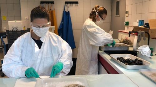 Elvire, 22-year-old: I thought the Covid-19 only happened to other people, until it happened to us. Doctors said that my father would probably not survive 