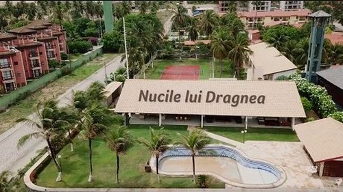 VIDEO Rise Project: Banii dumneavoastră au cumpărat cocotieri în Brazilia