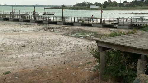 Malurile lacului Techirghiol au secat pe o porțiune de aproape 100 de metri / Specialiști: Procesul este benefic pentru calitatea nămolului. Acum este mai concentrat în săruri și minerale