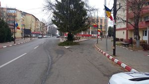 Poliția Panciu, după sesizarea G4Media privind bradul imens din mijocul străzii: Am pus în vedere Primăriei să toaleteze bradul. A fost aplicată și o sancțiune contravențională, firmei care a amplasat bradul