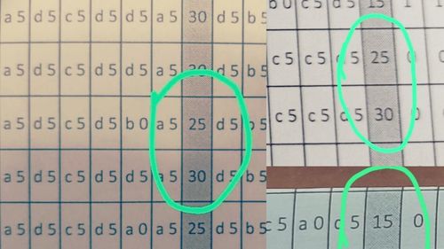 Greșeală descoperită de un profesor în corectura digitalizată a grilelor la simularea Evaluării Naționale 2024: Elevi cu punctaje diferite acordate de către cei doi evaluatori la același item și acceptate de platformă, care a făcut media notelor