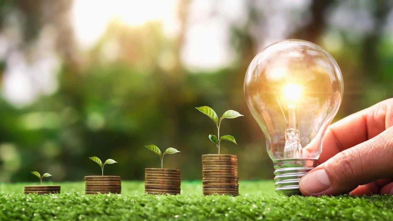 Mituri în energie. Sunt costurile tranziției energetice prea mari?