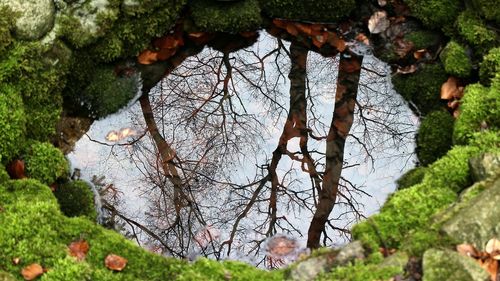 Există risc ridicat de îmbolnăvire cu "boala apei", avertizează DSP Buzău după ce 60% din probele prelevate din fântâni au fost necorespunzătoare