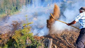 3 hectare de pădure au ars în Munții Rodnei / Pompierii și silvicultorii au rămas peste noapte în zonă pentru monitorizarea situației