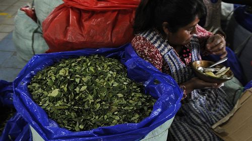 Superoferta de coca, care a prăbușit prețul pieței, afectează localnicii din Columbia: Insecuritate alimentară și strămutări de populație