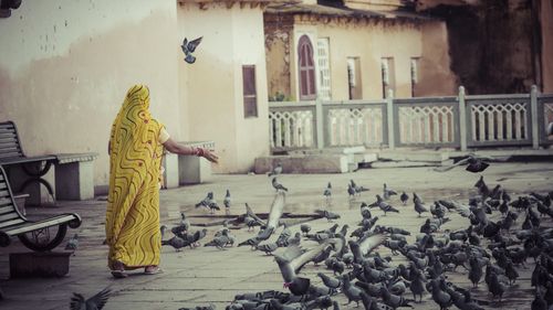 Povestea singurei femei crescătoare de porumbei din Old Delhi / „Este o legătură pe care nu o poți construi peste noapte. Asta este ceva ce nimeni nu-mi poate lua”