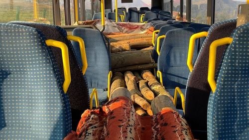 Autobuz cu lemne în loc de călători depistat în Baia Mare / Transporta 3 metri cubi de lemn, fără documente