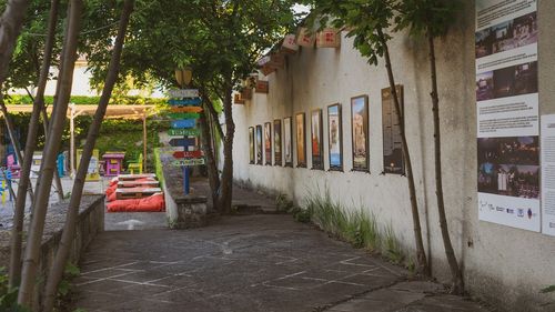 Eforie Colorat: peste 200 de evenimente, găzduite între 1 iulie şi 1 septembrie de Grădina Cinemascop