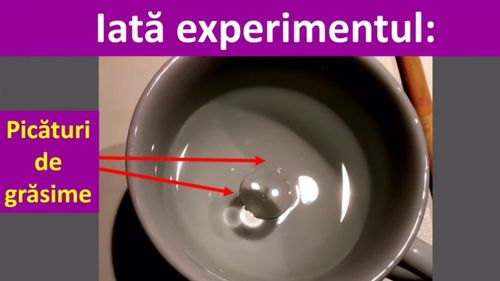 VIDEO Știința inedit explicată: iubirea moleculelor sau de ce zonele de grăsime din supă sunt rotunde și se unesc? Explicația lui Daniel Funeriu