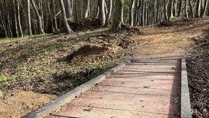 Premieră la Cluj: traseu turistic adaptat persoanelor cu dizabilități, inaugurat în Pădurea Făget / ”Ne dorim ca natura să fie accesibilă fiecăruia”