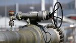 Transgaz lucrează la studiile de fezabilitate pentru interconectarea rețelelor de gaze din Maramureș și Bucovina