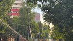 Bilanț în urma furtunii din Capitală: peste 1000 de copaci căzuți, 456 de autovehicule avariate / A fost nevoie inclusiv de sprijinul Armatei pentru evacuarea apei