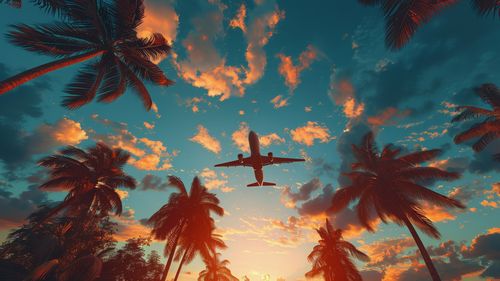 STUDIU Zborul cu avionul este mai sigur acum decât oricând înainte