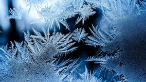 METEO Cod galben de ceaţă, gheţuş şi polei în şapte judeţe