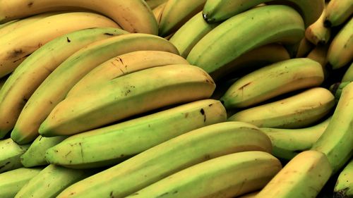 Bananele sunt constipante sau laxative? Sunt pline de fibre, dar diferența o face stadiul de coacere