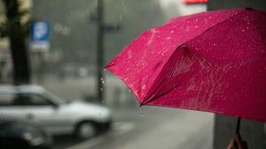 Vreme schimbătoare cu ploi în perioada 13-16 iulie