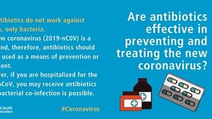 Coronavirus: 11 mituri demontate de OMS