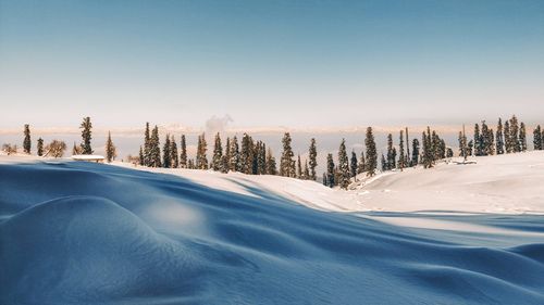 Noul an vine cu o vreme mai caldă decât în mod normal pentru această dată